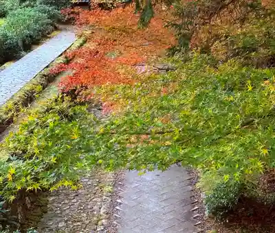 明通寺(福井県)