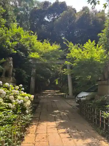 赤坂氷川神社(東京都)