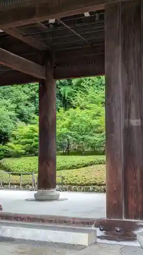 知恩院(京都府)