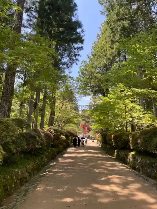 壇上伽藍(和歌山県)
