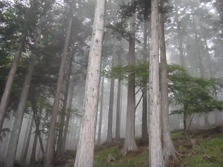 三峯神社の自然