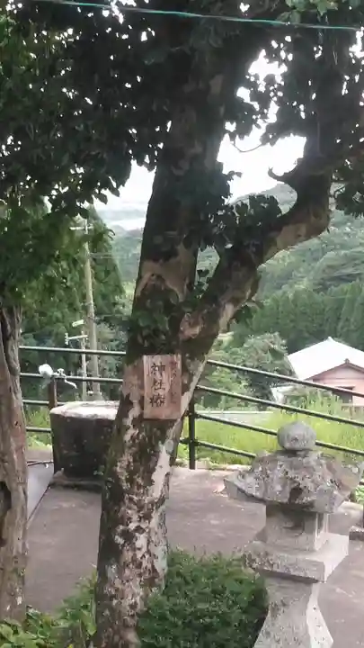 貫権現芝津神社(福岡県)