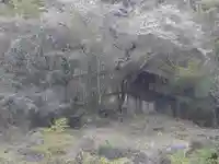 全光寺(愛知県)