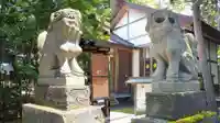 旭川神社の狛犬