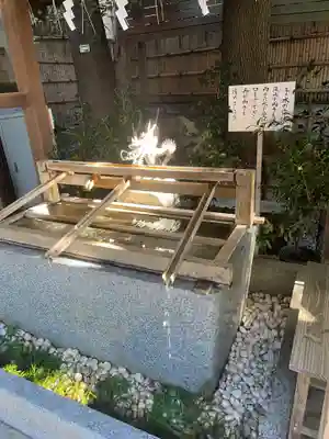 東京大神宮の手水舎