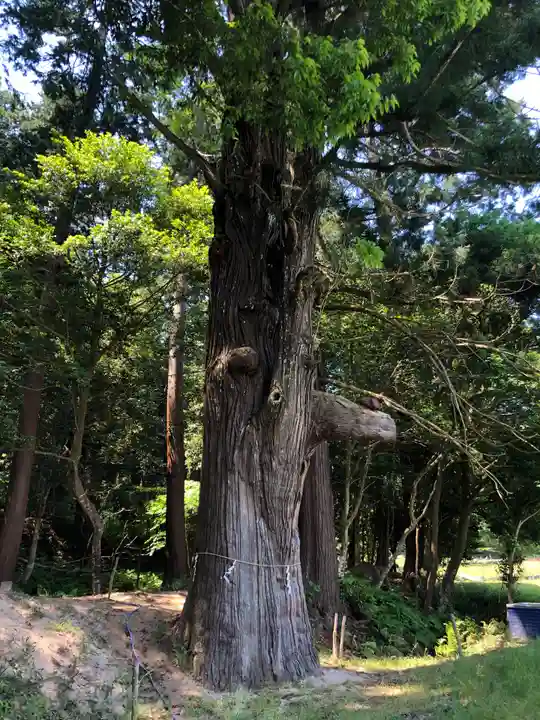 粟鹿神社の自然