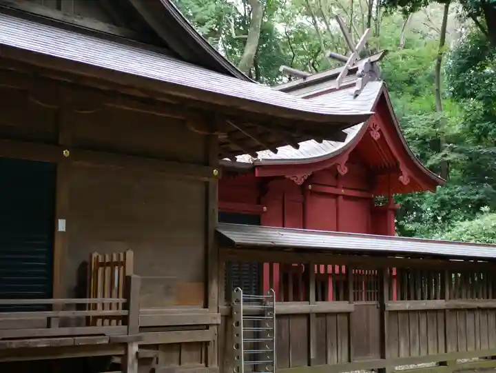 氷川女體神社の本殿・本堂