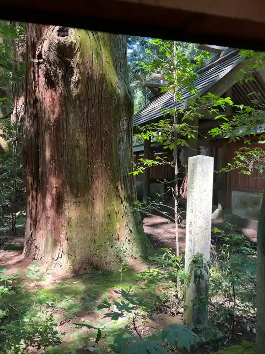 赤城神社(三夜沢町)(群馬県)