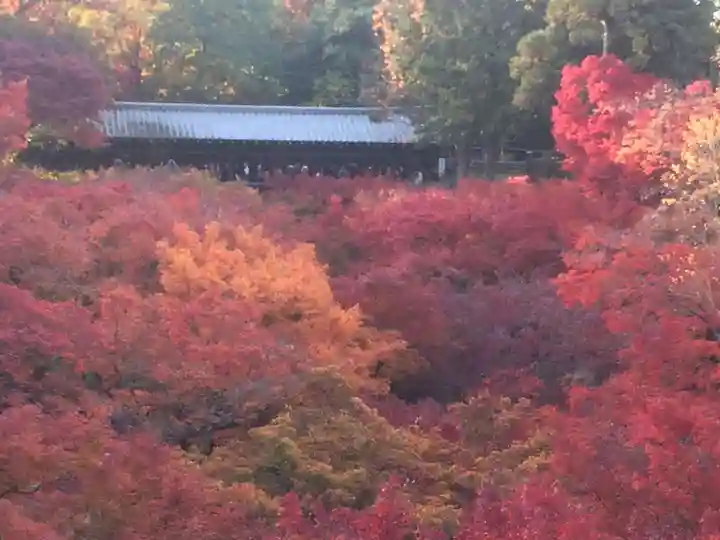 東福禅寺(東福寺)(京都府)