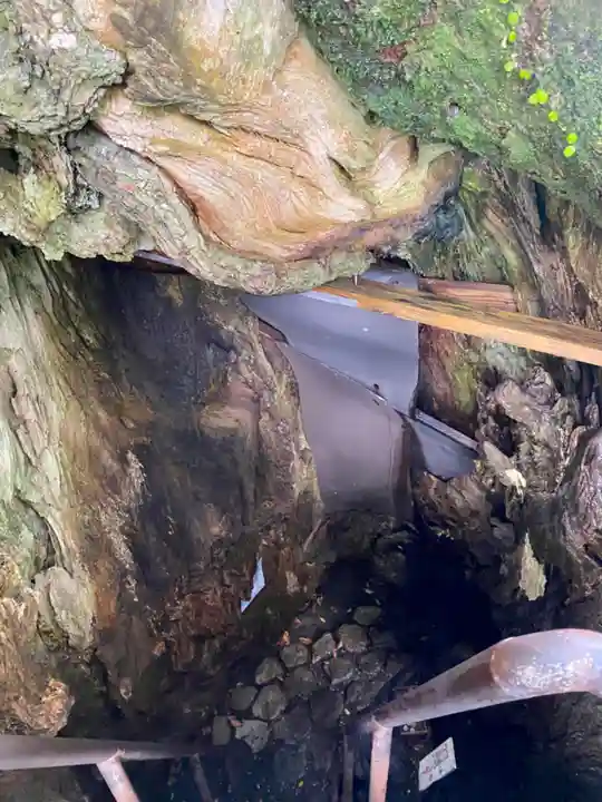 熊野那智大社(和歌山県)