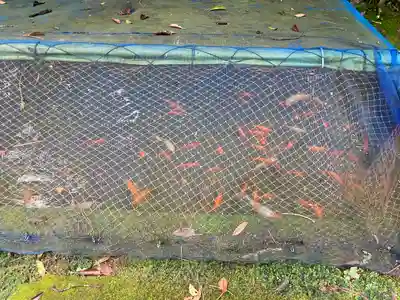 石土神社(愛媛県)