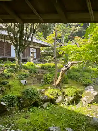 金剛寺(大阪府)