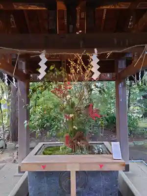 赤坂氷川神社の手水舎