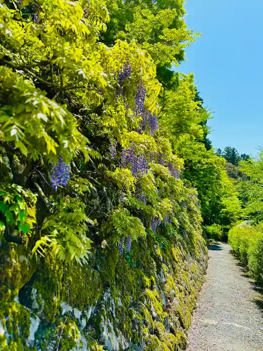 百済寺(滋賀県)