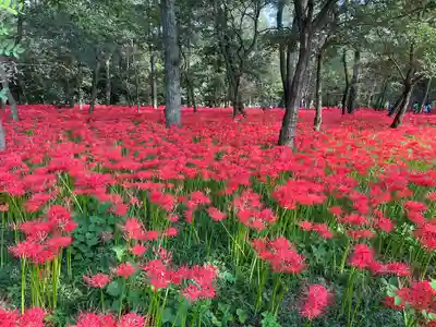 高麗神社(埼玉県)