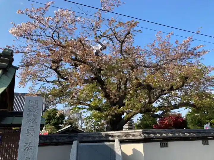 要法寺のその他建物