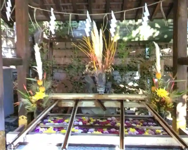 東京大神宮(東京都)