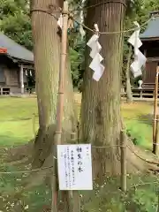 長沼八幡宮の自然