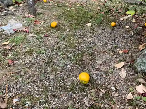 滋賀県護国神社の自然
