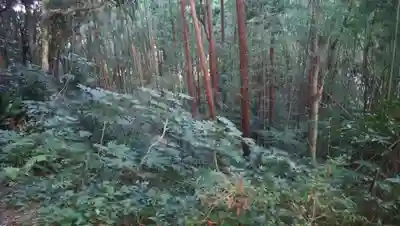 近津神社の周辺
