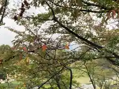 神吉八幡神社(兵庫県)