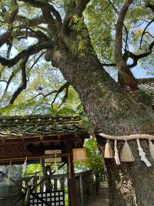 御袖天満宮の自然