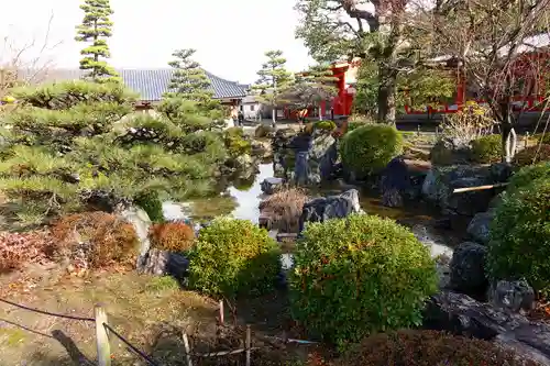 蓮華王院（三十三間堂）の庭園