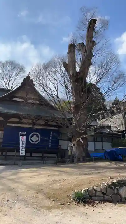 賀羅加波神社(広島県)