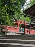春日大社 若宮(春日若宮)(奈良県)