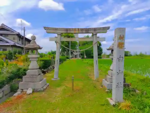 白山社（千代）の鳥居