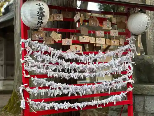 小室浅間神社のおみくじ