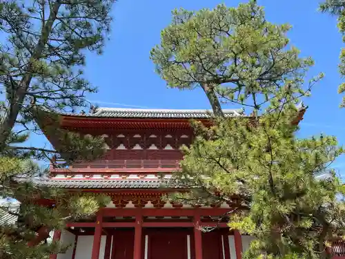 妙心寺（妙心禅寺）(京都府)