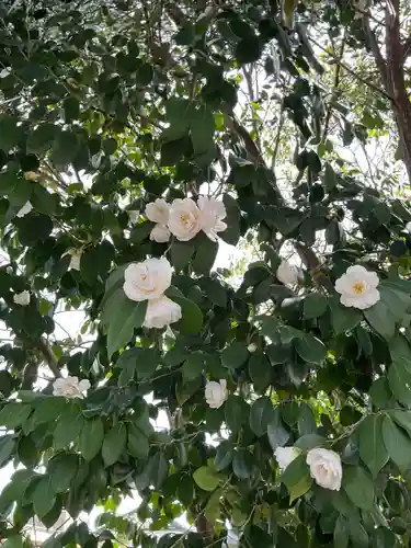 新羅神社の庭園