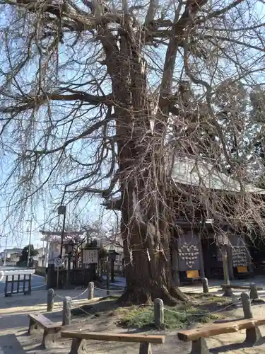 今宮神社(栃木県)