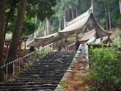 日吉大社の本殿・本堂