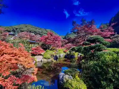 三室戸寺(京都府)