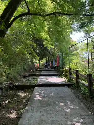 唐澤山神社(栃木県)