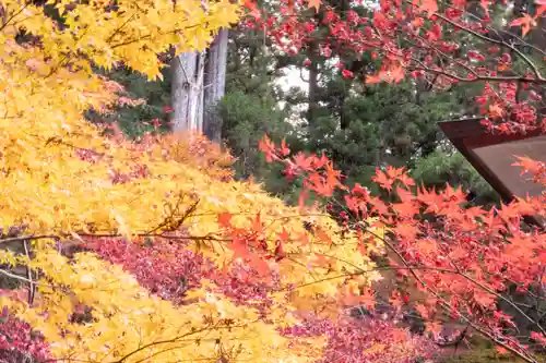 小國神社(静岡県)