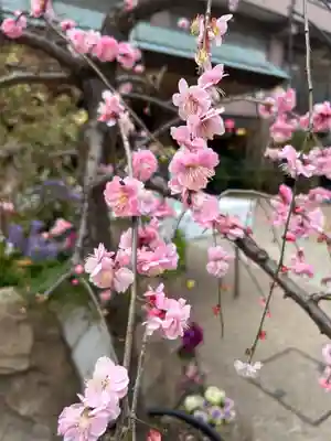東京大神宮(東京都)