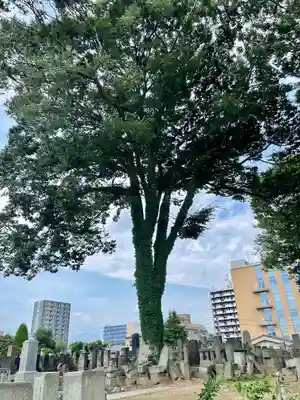 善導寺(福島県)