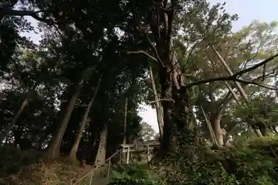 阿久津「田村神社」(郡山市阿久津町)旧社名:伊豆箱根三嶋三社の鳥居