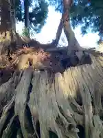 社八幡神社(福島県)