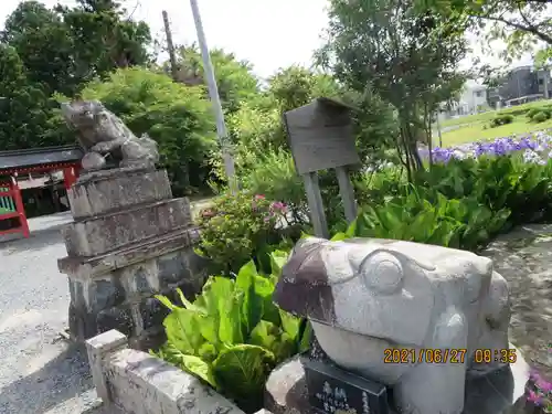 大鏑矢神社の狛犬