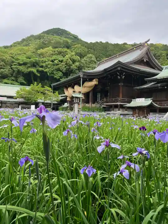 宮地嶽神社(福岡県)
