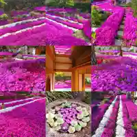 寿量山 速成寺(奈良県)