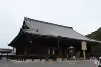 知恩院の本殿・本堂