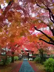 正樂寺(宮城県)