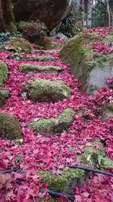 教林坊の{uncategorized: "未分類", other: "その他", undefined: "問題あり", building: "その他建物", grave: "お墓", sacred_gate: "鳥居", guardian: "狛犬", statue: "像", buddha: "仏像", history: "歴史", nature: "自然", garden: "庭園", animal: "動物", pagoda: "塔", temizu: "手水舎", mountain_gate: "山門・神門", sanctuary: "本殿・本堂", subordinate: "末社・摂社", art: "芸術", scenery: "景色", jizo: "地蔵", ema: "絵馬", goshuin: "御朱印", omikuji: "おみくじ", items: "授与品その他", amulet: "お守り", goshuincho: "御朱印帳", eats: "食事", festival: "お祭り", votive_dance: "神楽", shichigosan: "七五三参", wedding: "結婚式", experience: "体験その他", initially: "初詣", around: "周辺", anti_infection: "感染症対策"}