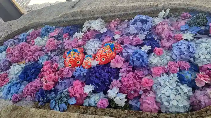 金井神社の手水舎