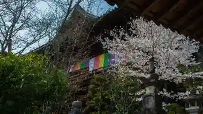 長谷寺の本殿・本堂